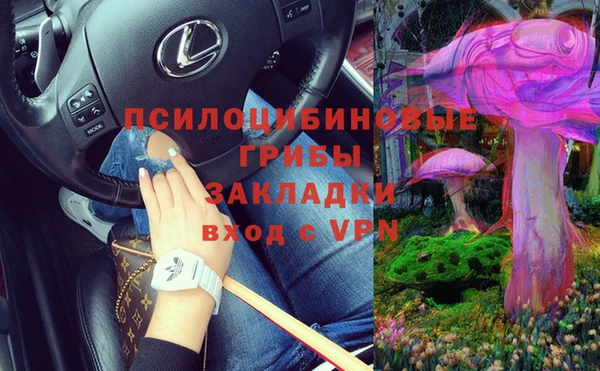 каннабис Абаза
