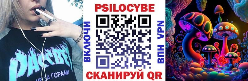 Псилоцибиновые грибы мицелий  купить   Кизляр 