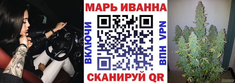 Конопля сатива  Кизляр 
